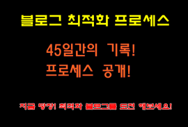 45일만의 기적! 깨끗한 블로그 최적화 블로그