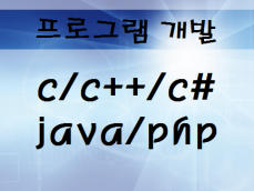 C/C++/C# 프로그램 개발/유지보수
