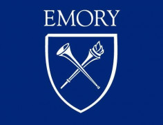 영한, 한영 번역! 미국 Emory University 철학과 졸업