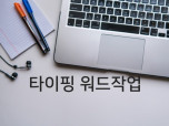 한글문서로 문서 타이핑 (한, 영문) 해 드립니다.