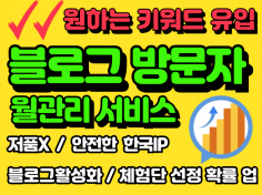 블로그방문자,블로그방문자관리,블로그조회수,블로그트래픽 "선택키워드" 고가치 방문자/트래픽 유입을 도와 드립니다