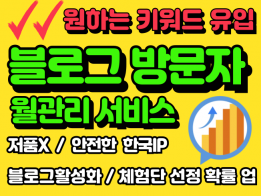 블로그방문자,블로그방문자관리,블로그조회수,블로그트래픽 "선택키워드" 고가치 방문자/트래픽 유입을 도와 드립니다