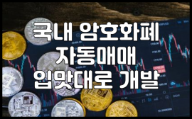 비트코인 자동매매 유튜버가 직접 만들어 드립니다.