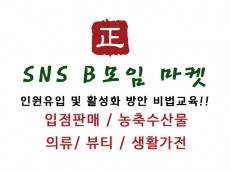 SNS B모임 입점(공동리더) 등업 및 판매 광고 / 인원유입 및 활성화 방안 교육 해드립니다