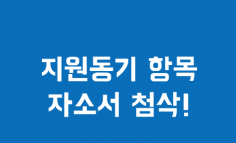 서류,자기소개서,경력기술서 첨삭 및 피드백 (서류합격률 2배상승 보장)