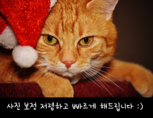 포토샵 보정 해드립니다