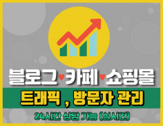 [SEO 도움↑] 고가치 방문자(트래픽) 서비스를 드립니다 (카페,블로그,뉴스,쇼핑몰,사이트 등)