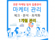 SEO · SNS ·포털 카테고리 별 최적화 관련 : 종합 1달 체크/관리