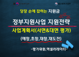 스타트업 정부지원 사업 지원 전략 및 사업계획서 작성 요령과 방법 대면평가 꿀팁 정보