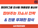현대차그룹 인사팀 채용 메인담당 출신이 잡아주는 자소서 전략 & 전문 무제한 첨삭