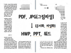 문서를 스캔한 이미지파일, PDF파일을 다시 문서화, PPT파일화 해 드립니다