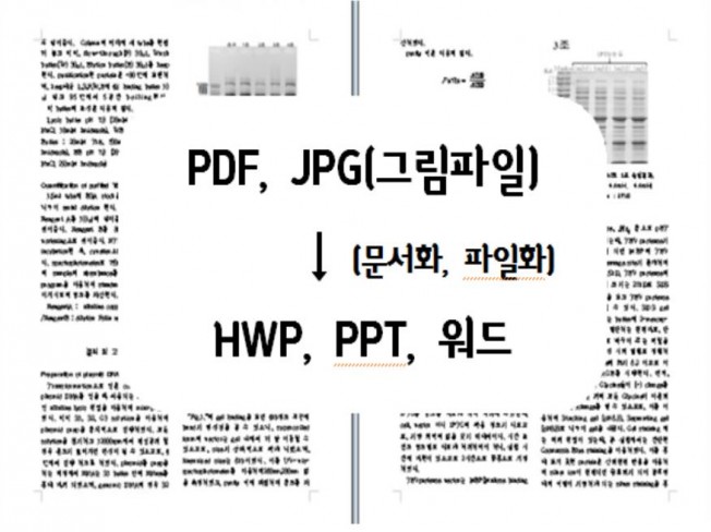 문서를 스캔한 이미지파일, PDF파일을 다시 문서화, PPT파일화 해 드립니다