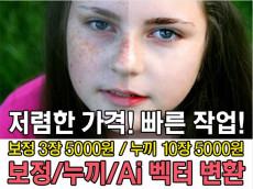 [포토샵]사진보정,누끼,AI 벡터 변환 작업해 드립니다