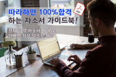 [전자책] 자기소개서 작성법 따라하면 100% 합격! (22page) (취준생·신입 필독!) 