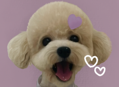 반려동물 그림 그려드려요(디지털드로잉)