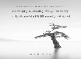 태극권 핵심 로드맵 : 정요18식 비법서