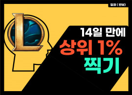 14일만에 상위 1% 찍기