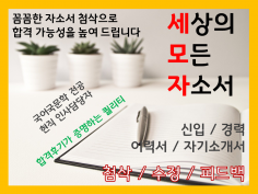 [취업/입시] 꼼꼼한 자소서 첨삭으로 합격 가능성을 높여 드립니다. 구매후기가 증명하는 퀄리티!