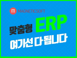 ERP 맞춤 제작해드립니다